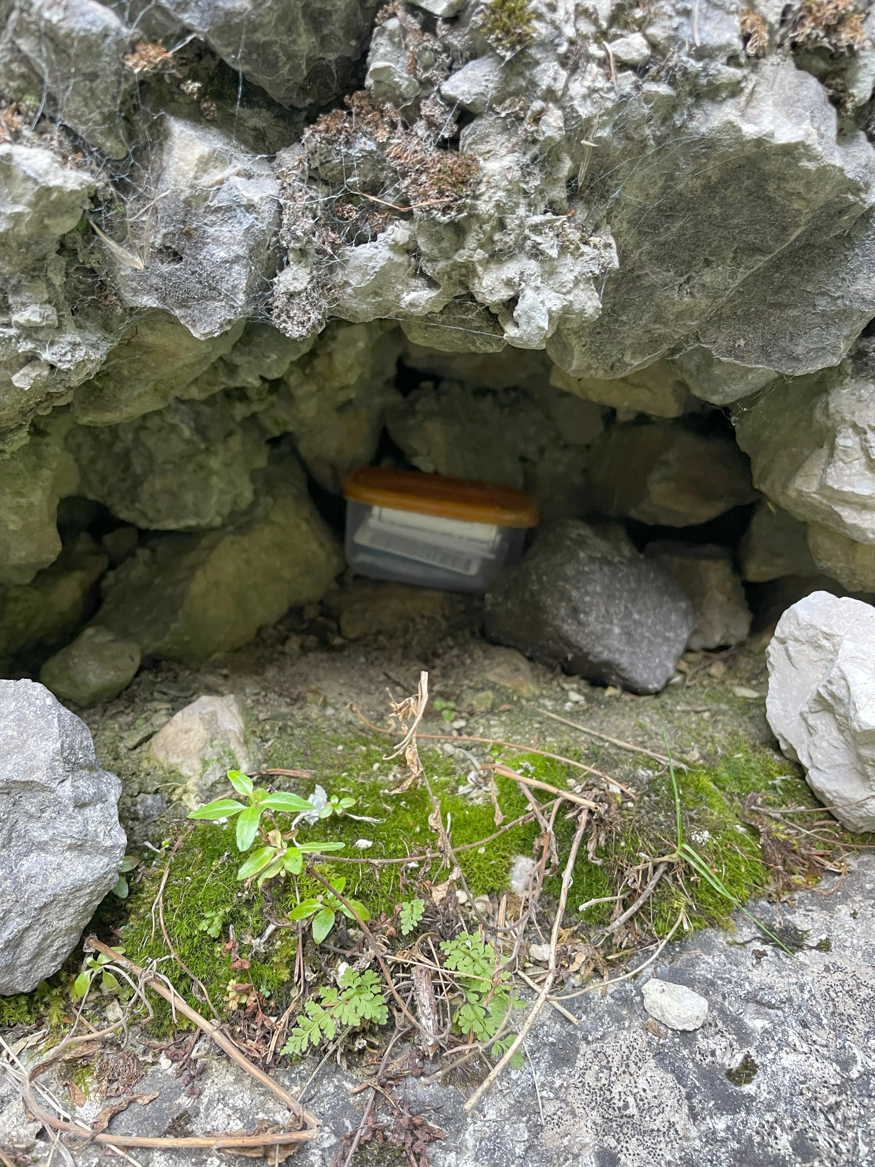 Roadside Geocaching